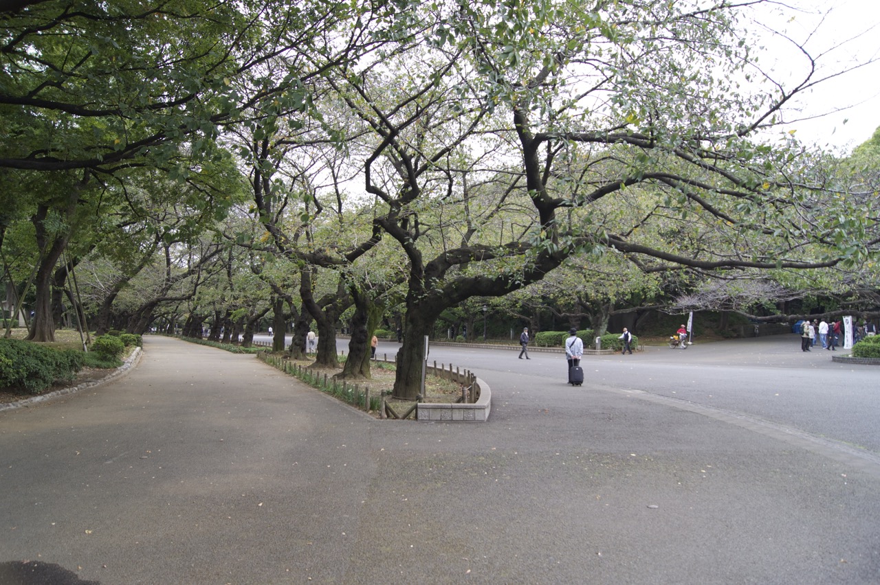 A park in Seoul